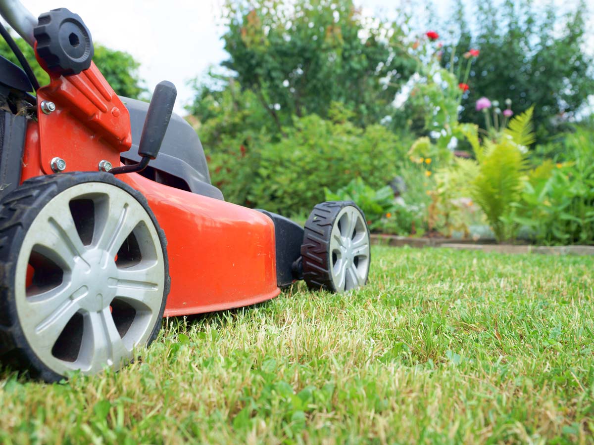 Grünflächenbetreuung & Gartenservice